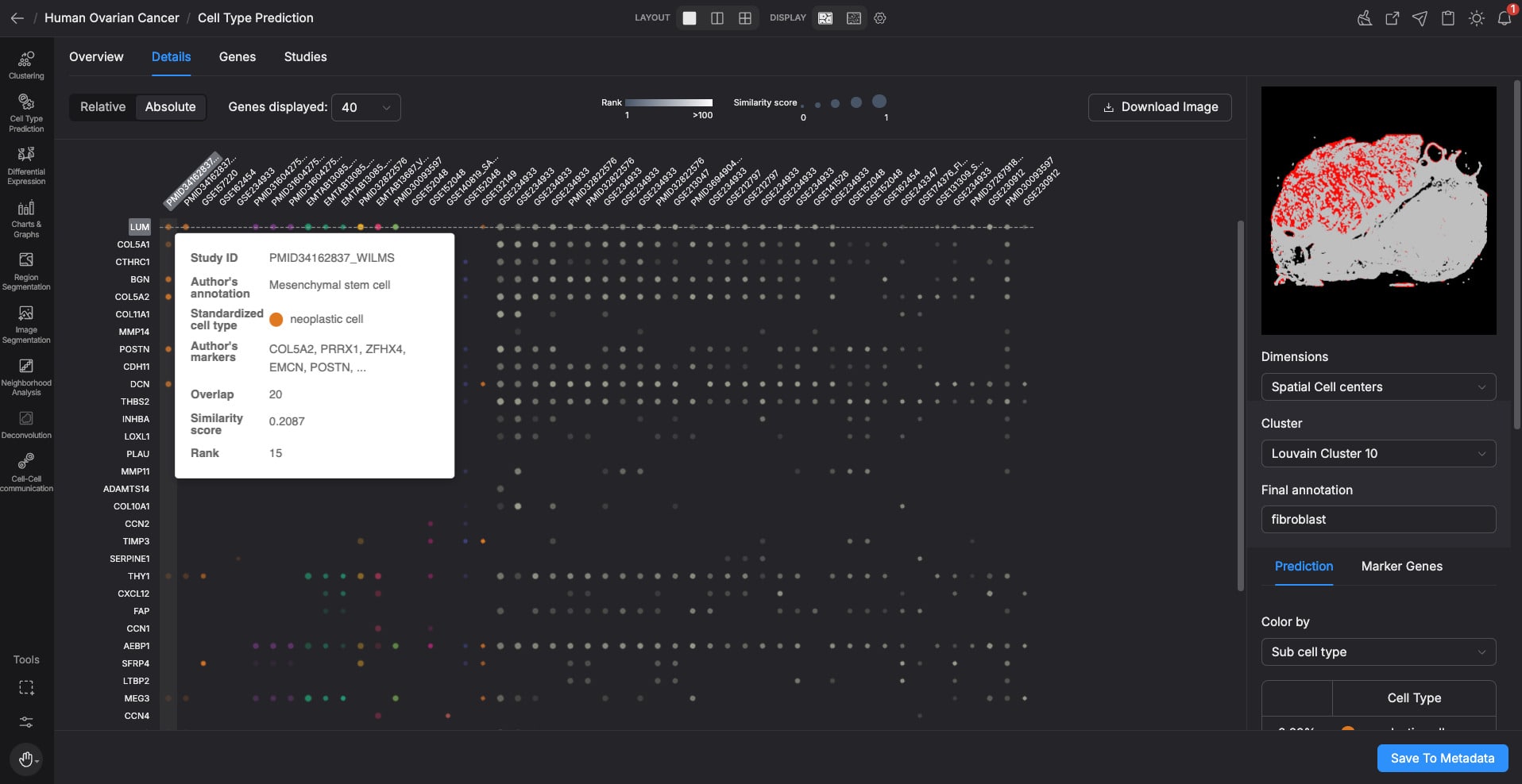 Cell type annotation