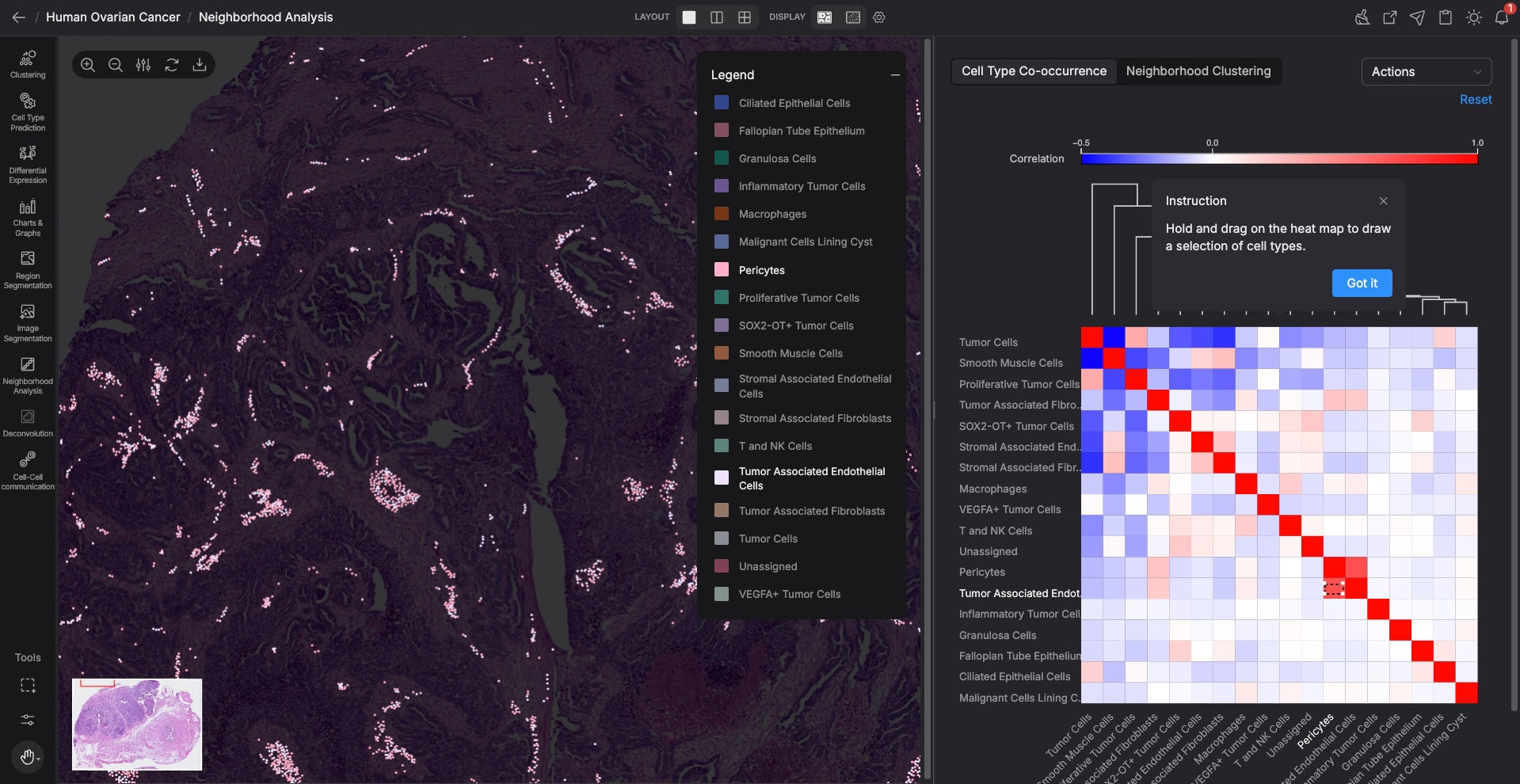 Neighborhood analysis