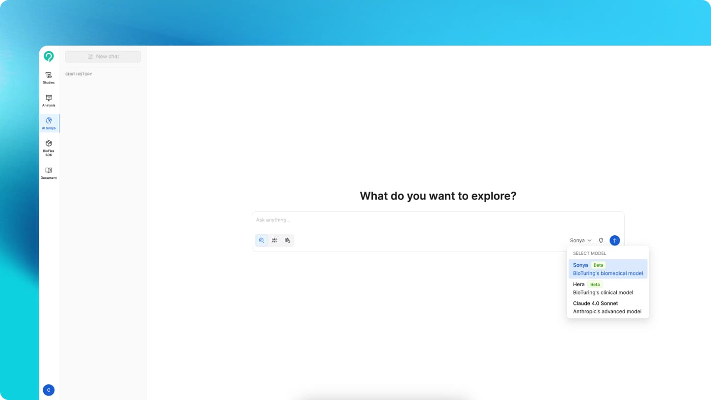 Natural Language Queries