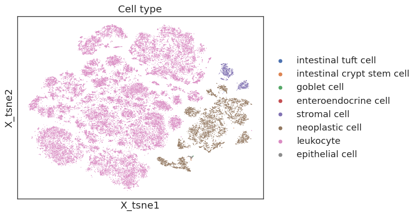 TSNE